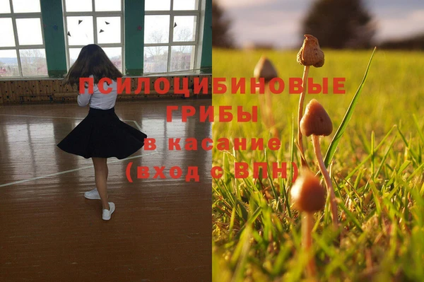 соль ск Белоозёрский