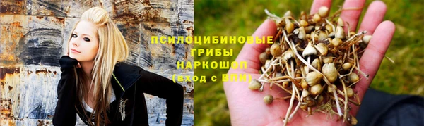 соль ск Белоозёрский